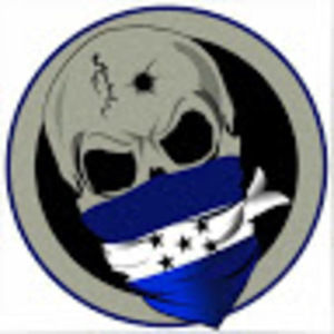 Meet your Posher, Saivigamer